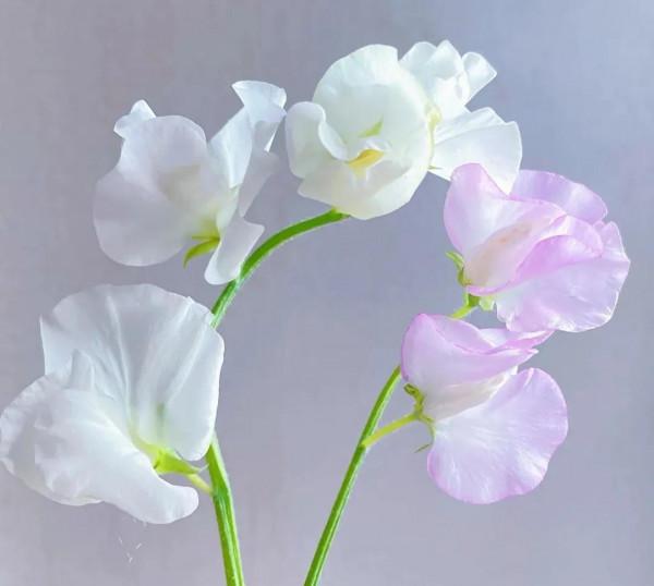 《易經》一個人智慧境界提升,相貌跟著轉變,無形中影響他人變好 《易經》一個人智慧境界提升,相貌跟著轉變,無形中影響他人變好