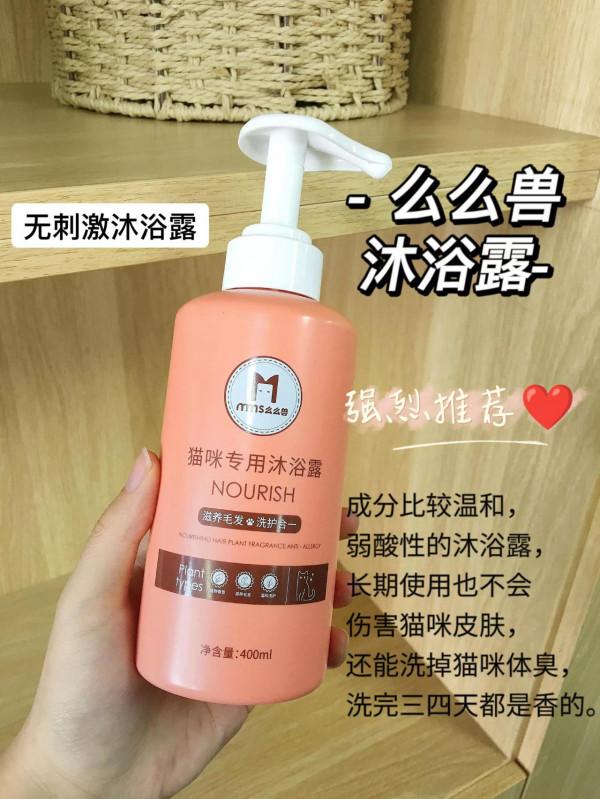 新手養貓最需要注意這個