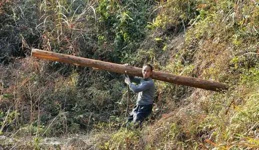 忘恩負義的堂老弟 忘恩負義的堂老弟