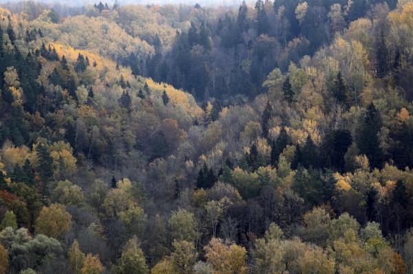 金燦燦的秋季 金燦燦的秋季