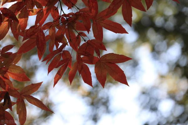 小而美的生活也是一種幸福 小而美的生活也是一種幸福