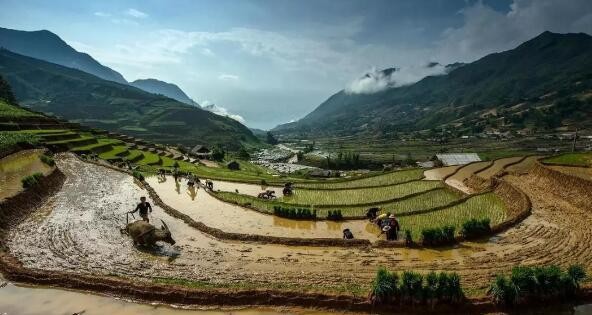 溫鐵軍：為什麼我對中國2022年的經濟前景保持樂觀？