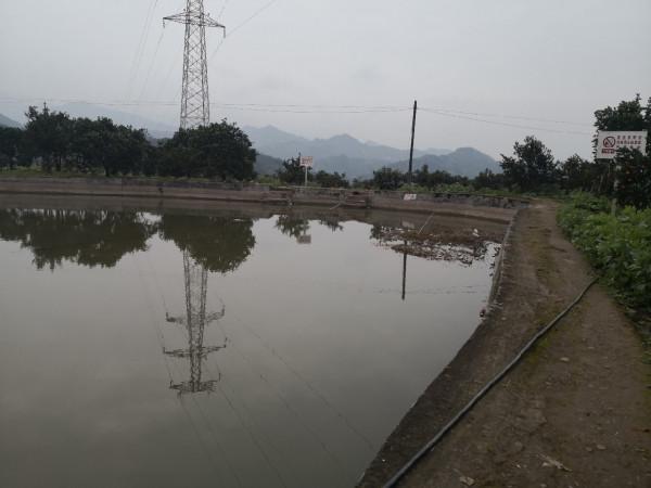 春節釣魚有鯽也有鯉，大吉大利&hellip;&hellip;