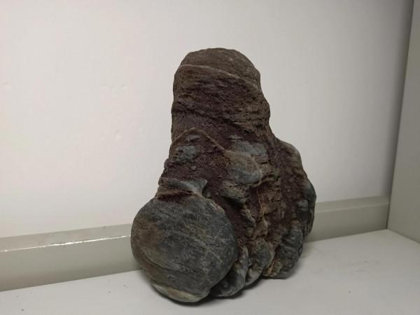 豐富多彩丹江石