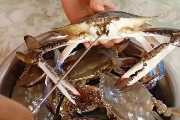 蒸螃蟹，用冷水還是熱水？差別挺大，弄錯了，難怪蟹黃流腳掉一鍋