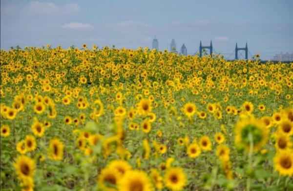 小小說:善良的人運氣一定不會差 小小說:善良的人運氣一定不會差