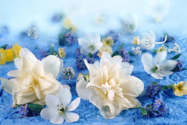 事實上,有些女人命苦,可能是自找的 事實上,有些女人命苦,可能是自找的