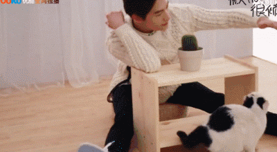 男明星的溫柔與寵溺都給了萌寵,好羨慕 男明星的溫柔與寵溺都給了萌寵,好羨慕