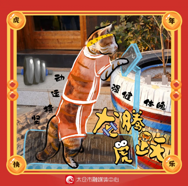 喵~太倉&OpenCurlyDoubleQuote;萌虎&rdquo;有話說