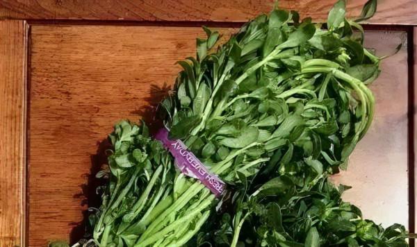 春天吃這4種&quot&semi;不花錢&quot&semi;的菜，比啥補藥都好！可惜很少人知道