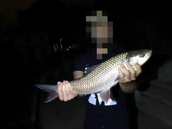 秋季野釣草魚，這三點要注意，很可能是導致你空軍的幕後黑手