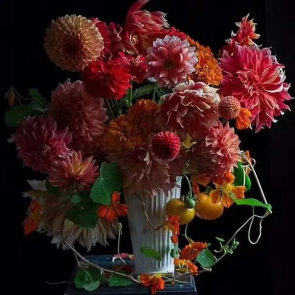 植庫‖豐富多彩的大麗花竟被冠為慘案之名？