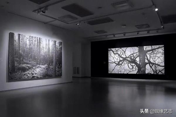 1440個小時的涅槃之畫：黎明之樹，佐藤裕一郎的心之風景