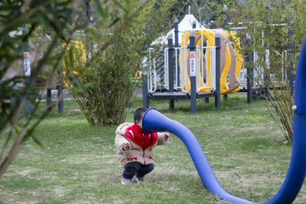 溫暖過年嘉遊贛 &vert; 【虎年添&OpenCurlyDoubleQuote;福&rdquo;氣！】春節怎麼玩？賽石城&CenterDot;花樂園給你不一樣的春節體驗~