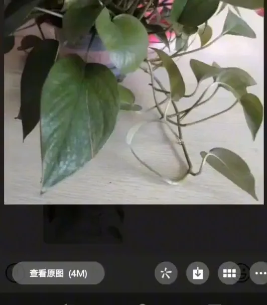 手機發送原圖可能會洩露你的位置資訊，教你一招，避免洩露