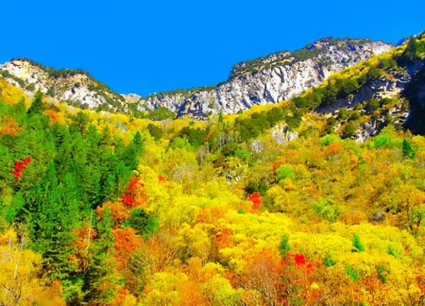 四川的避暑勝地，在最熱的時候也要穿上長袖，遊客絡繹不絕