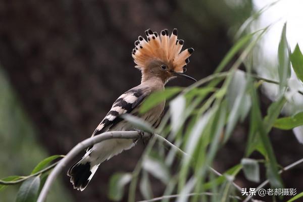 展現自己的美麗看心情