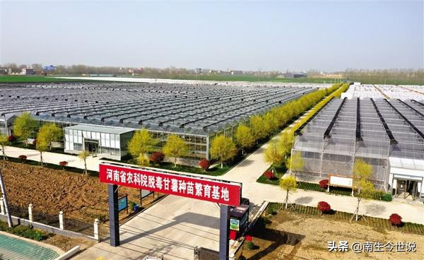 農業經濟，哪家強？前三季度，我國31省份“農林牧漁業GDP”對比