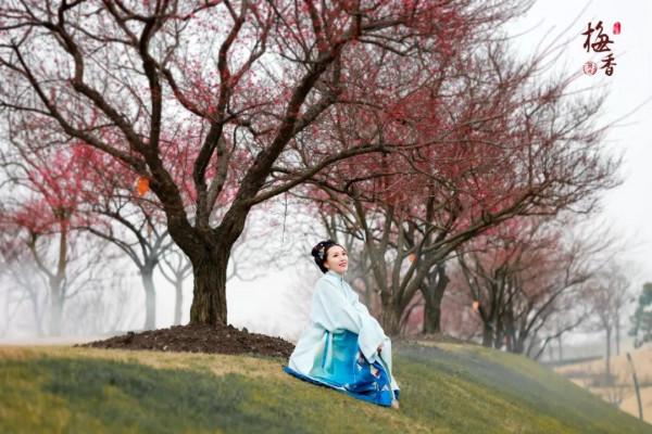 松江這片梅花園，開得太美了