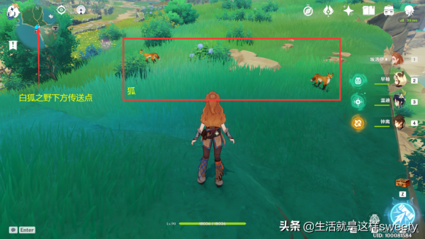 原神四方之網可捕捉小動物位置彙總一覽