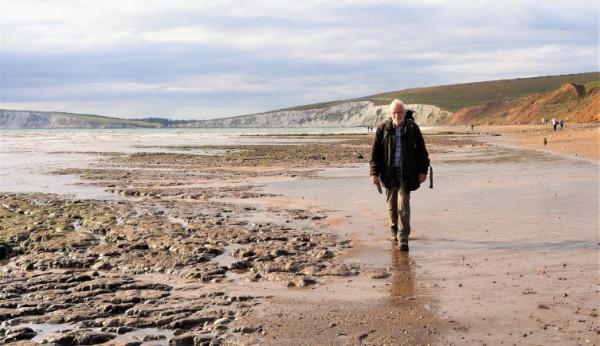 新恐龍物種的發現，據說是禽龍的近親，或許可以為恐龍系新添一員