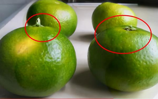 9月橘子大量上市，老果農教你一招，包你挑到又熟又甜的母橘子