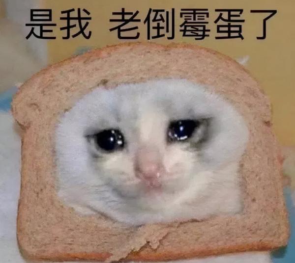 31分！太可怕了，毫無破綻啊！甭想了，湖人預定三連敗