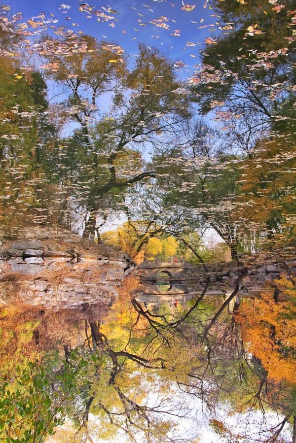 北大,永遠的熱愛! 北大,永遠的熱愛!