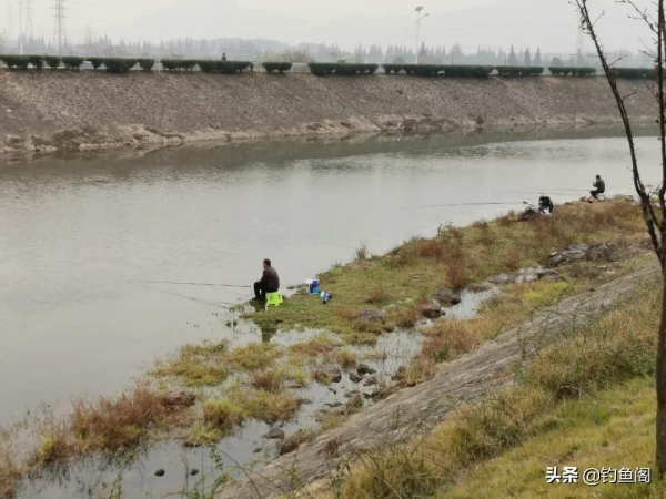 野釣用硬竿還是軟竿？聽聽我的說法，也許你會做不同選擇