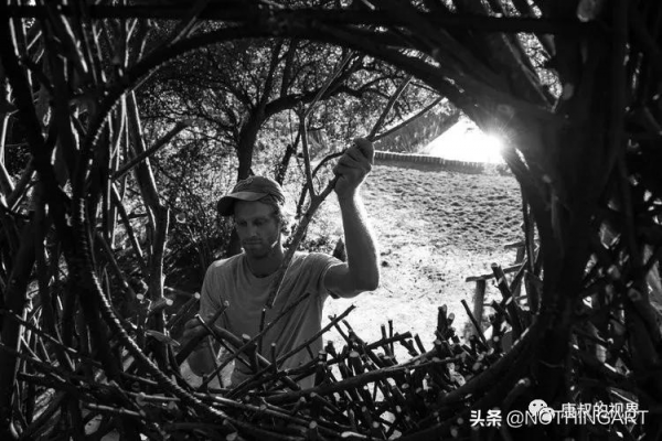 小時候最想住的“鳥窩”| Charlie Baker 來自大自然的雕塑建築 小時候最想住的“鳥窩”| Charlie Baker 來自大自然的雕塑建築