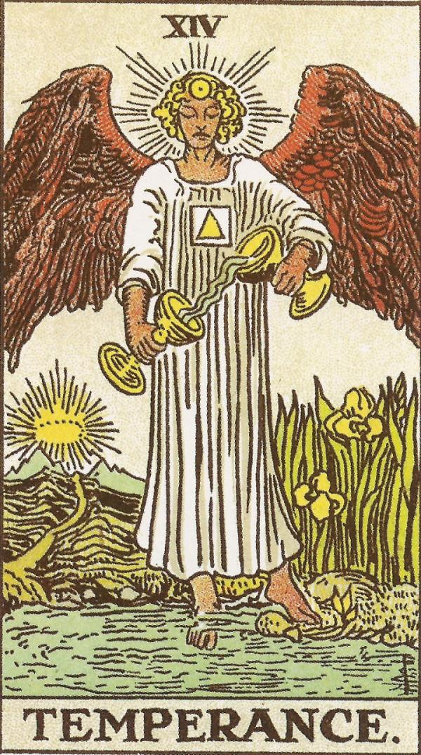 年運 | 2022年塔羅運勢（白羊獅子射手座）