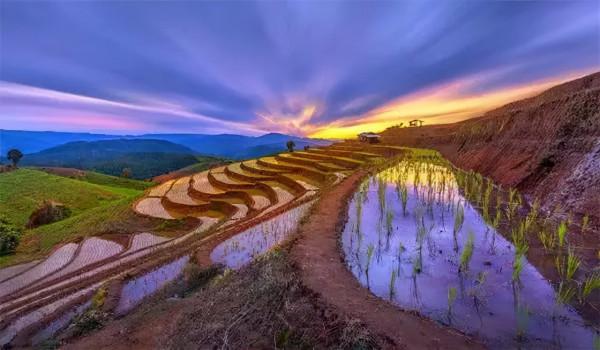 大生態 | 共享時代,農業是最值得期待的風口 大生態 | 共享時代,農業是最值得期待的風口