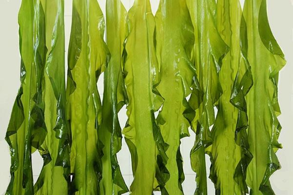 冬季女性怕冷又怕胖？5種食物不妨常吃，暖身又不加體重