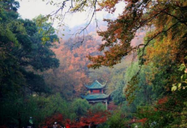 楊昌濟稱他與毛澤東比肩，36歲時四肢被釘在牆上壯烈犧牲，他是誰