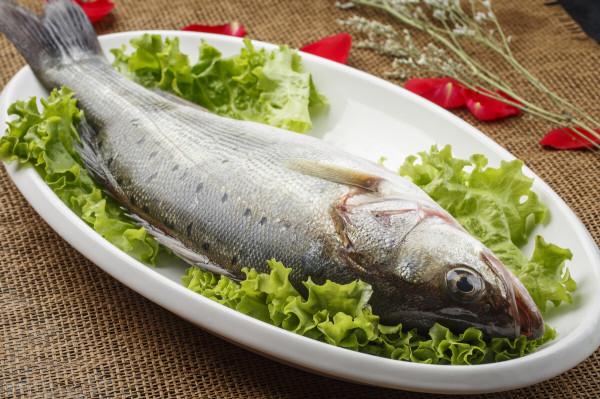 買鱸魚，選購“肚子大”還是“肚子小”的，口感差別大，別買錯