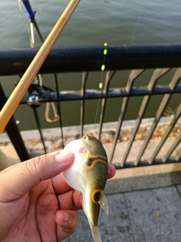 苦守大魚不如改變釣法，說不定也會有驚喜