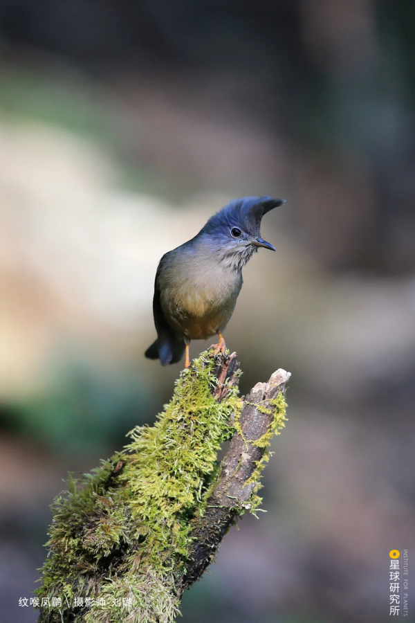 出發!穿越中國最長國道219 出發!穿越中國最長國道219