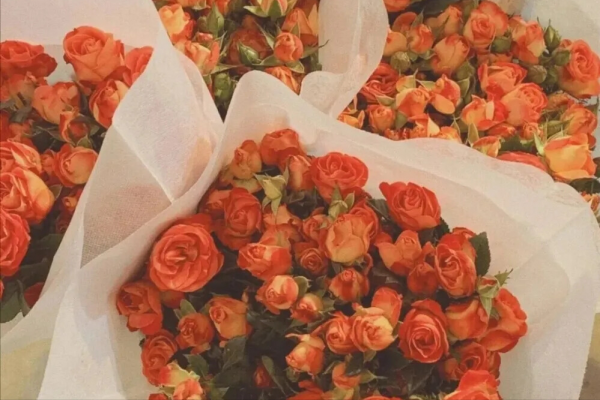 一腔孤勇毫不畏懼的星座，身處泥濘也不會變節，暗影中的英雄