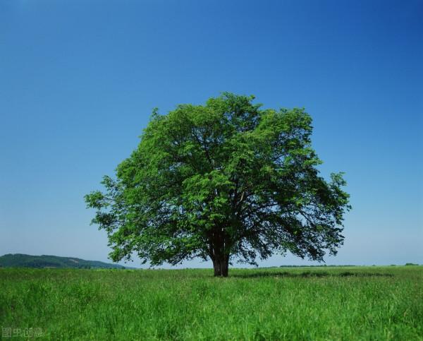 公立幼兒園教學就是不一樣,中班開始就對孩子進行自然教育 公立幼兒園教學就是不一樣,中班開始就對孩子進行自然教育