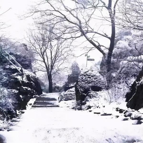 一下雪，國內這15個絕美旅行地，才是真正的人間仙境