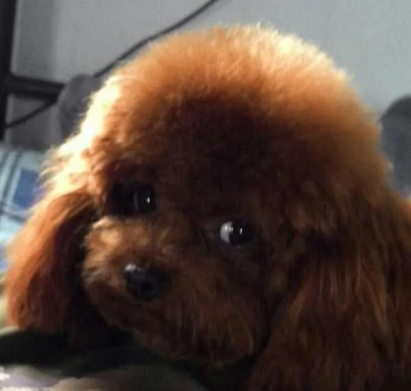 自主擇業人的自駕遊啟程