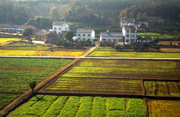 家：錢、權、情和血緣關係！（血未必濃於水）