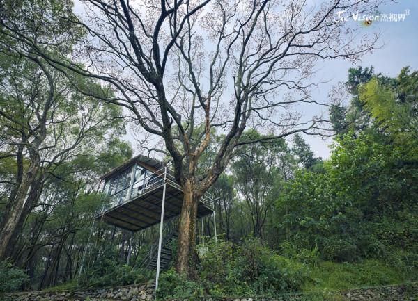 東晉《搜神記》造就中國七夕之源 在仙女湖畔聊聊中外的“仙女”們 東晉《搜神記》造就中國七夕之源 在仙女湖畔聊聊中外的“仙女”們