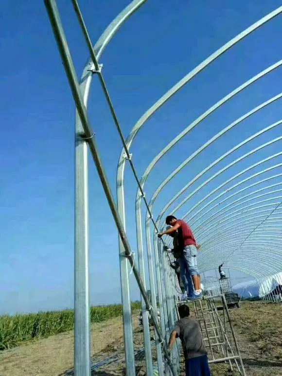 養牛的朋友進來看看，新建的牛棚，歡迎大家點評
