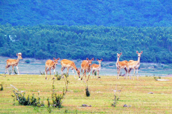 遇間旅遊 | 更新旅遊打卡地！領略大中國國家公園~我在三亞等你