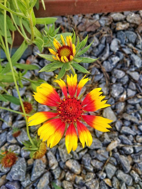 井陘太行天路遊玩記錄 井陘太行天路遊玩記錄