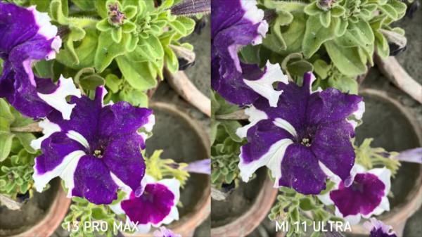 蘋果挑戰安卓之光能贏?iPhone13ProMax和小米11Ultra拍照對比 蘋果挑戰安卓之光能贏?iPhone13ProMax和小米11Ultra拍照對比