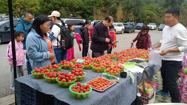 ​十月的喇叭溝彩葉漫山溪水潺潺美翻啦! ​十月的喇叭溝彩葉漫山溪水潺潺美翻啦!