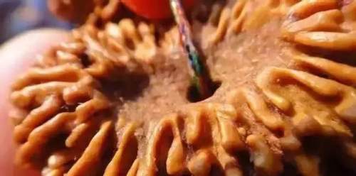 塑膠造假太猖狂了，怎麼冒充過這麼多文玩？