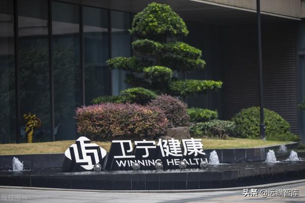 醫療IT龍頭,衛寧健康:醫療雲化開拓未來,加速產品變革引領市場 醫療IT龍頭,衛寧健康:醫療雲化開拓未來,加速產品變革引領市場